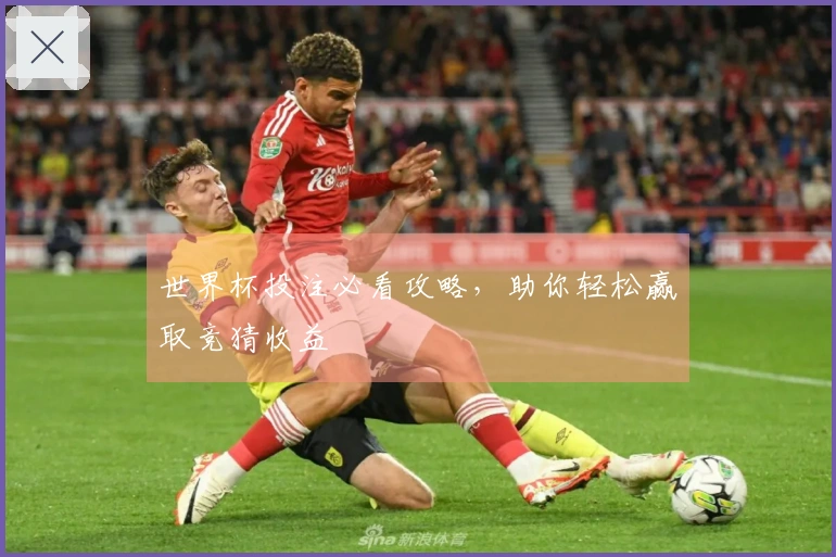 世界杯投注必看攻略，助你轻松赢取竞猜收益