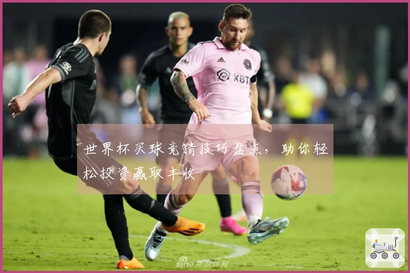 世界杯买球竞猜技巧盘点，助你轻松投资赢取丰收