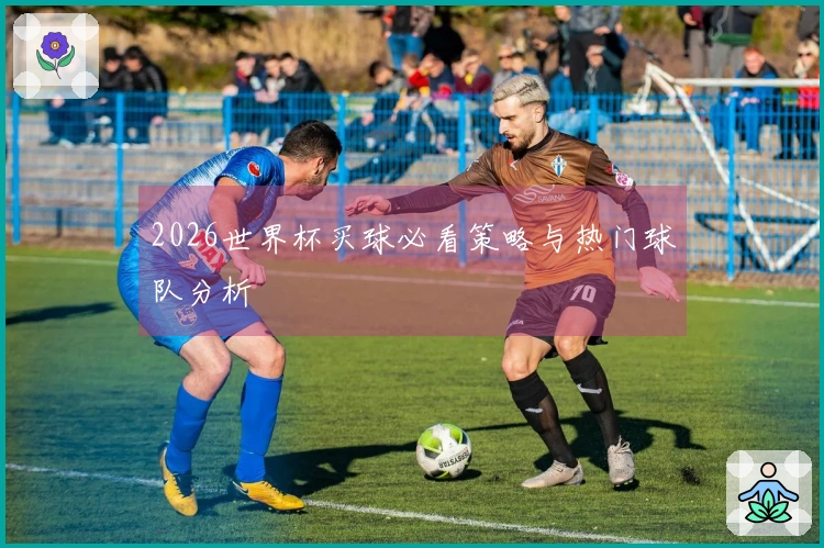 2026世界杯买球必看策略与热门球队分析