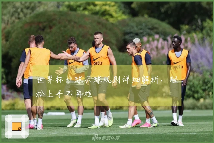 世界杯让球买球规则详细解析，轻松上手不再难