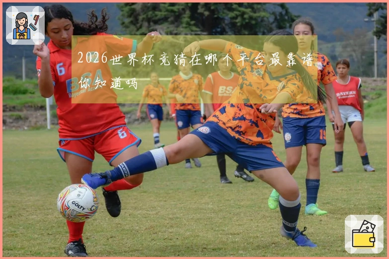 2026世界杯竞猜在哪个平台最靠谱你知道吗