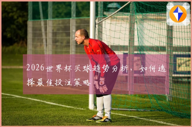 2026世界杯买球趋势分析，如何选择最佳投注策略