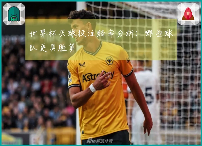世界杯买球投注赔率分析：哪些球队更具胜算