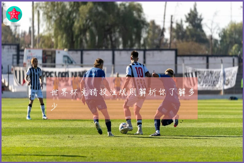 世界杯竞猜投注规则解析你了解多少