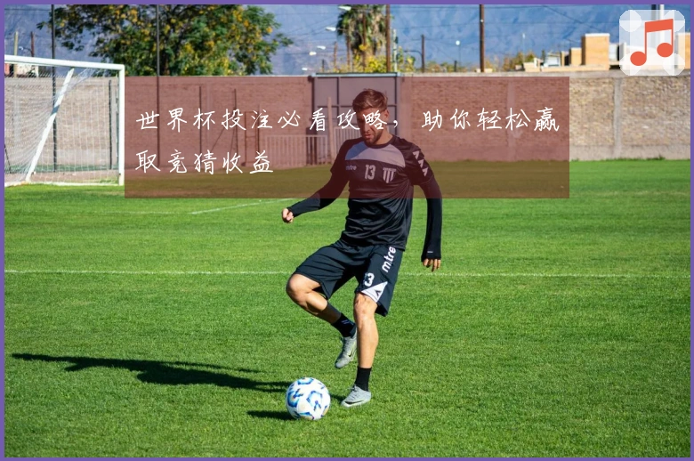 世界杯投注必看攻略，助你轻松赢取竞猜收益