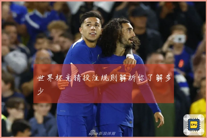 世界杯竞猜投注规则解析你了解多少