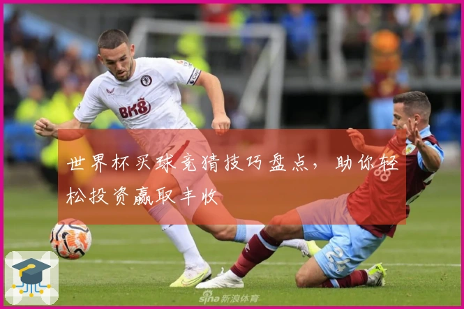 世界杯买球竞猜技巧盘点，助你轻松投资赢取丰收
