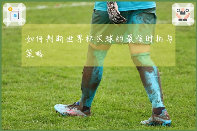 如何判断世界杯买球的最佳时机与策略