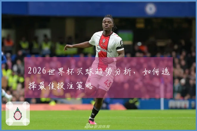 2026世界杯买球趋势分析，如何选择最佳投注策略