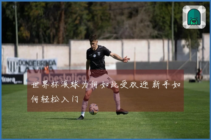 世界杯滚球为何如此受欢迎 新手如何轻松入门